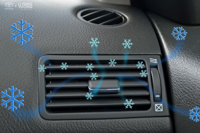 Các Cách Xua Đuổi Côn Trùng Khỏi Xe Khi Đang Lái